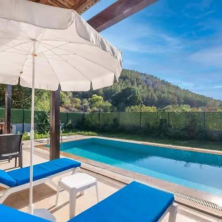 Villa Kayakoy Yuzme Havuzlu Citlembik
